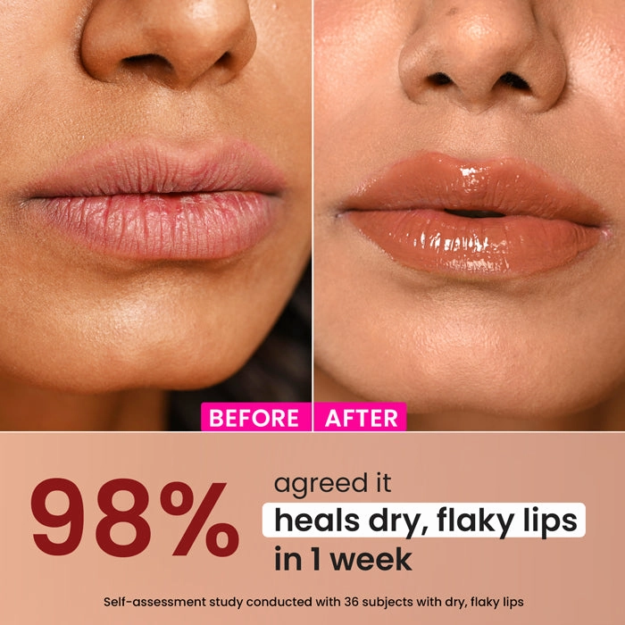 Ceramide   Peptide Lip Balm SPF 50  PA    (Tinted)
