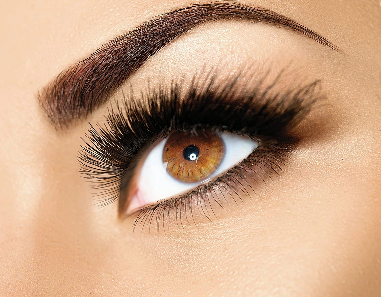 Lash Eyebrow Extensions Kit with 2 Trays of Mink False Eyebrows in Brown, Eyebrow Glue Clear & Extension Tweezers, Comes on Mixed Length Trays 5-8 mm (Brown 2-Pack, Black Tweezer)