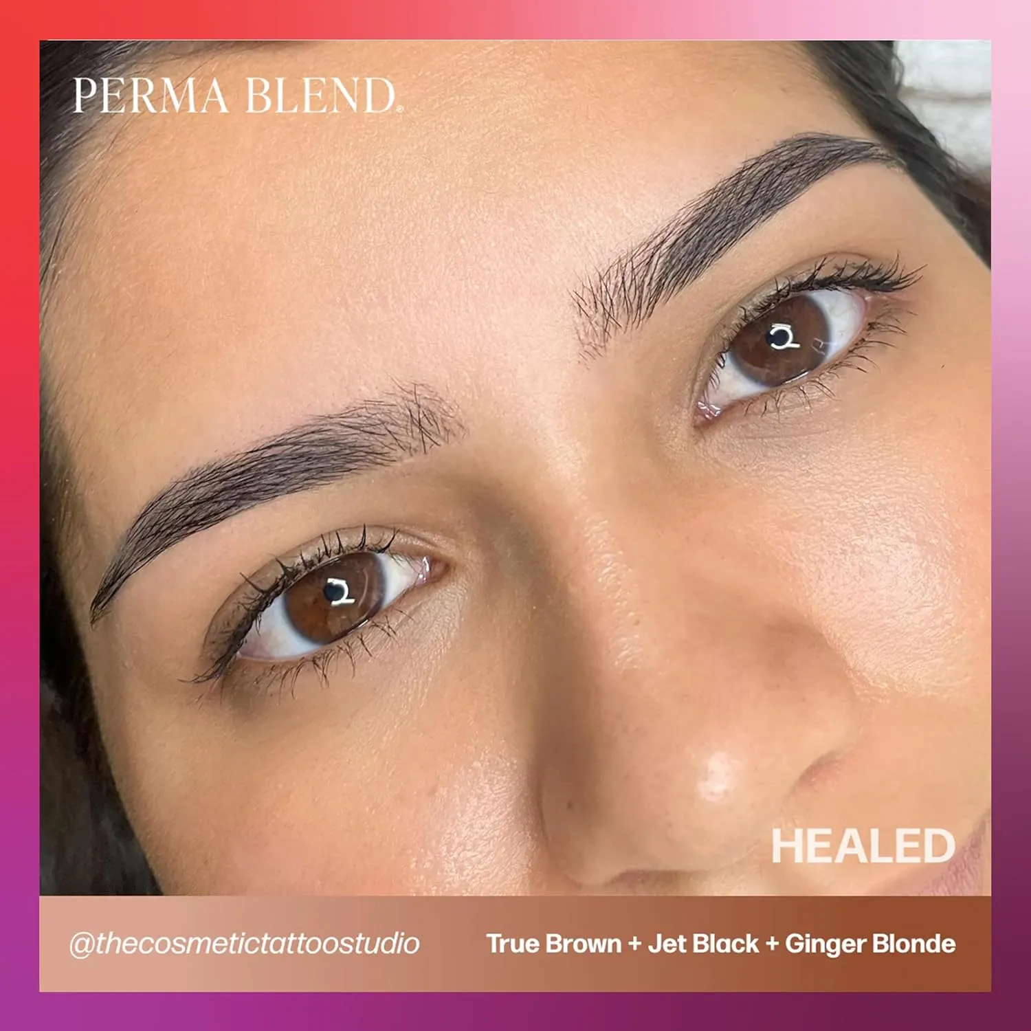 Perma Blend Sun-Kissed Palette Eyebrow Tattoo Ink Pigment Set, Professional Brow Microblading Supplies, Ultra, Dark and Ginger Blonde, Light, Warm, Rich and True Brown and Jet Black, 1/2 oz Bottles