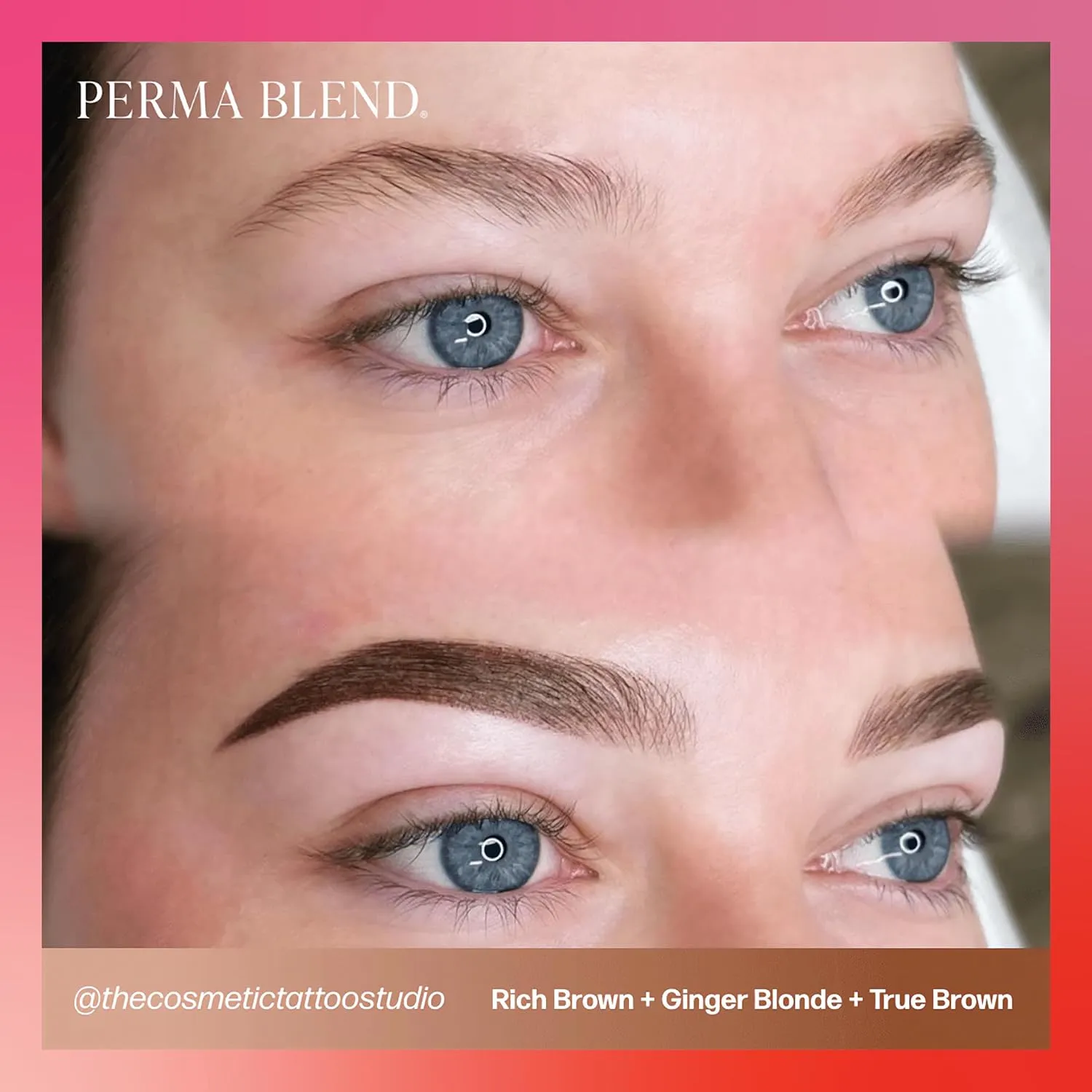 Perma Blend Sun-Kissed Palette Eyebrow Tattoo Ink Pigment Set, Professional Brow Microblading Supplies, Ultra, Dark and Ginger Blonde, Light, Warm, Rich and True Brown and Jet Black, 1/2 oz Bottles